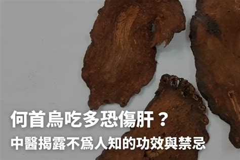 制首烏副作用|何首烏秋冬進補怎麼吃？醫列功效禁忌＋何首烏藥膳做。